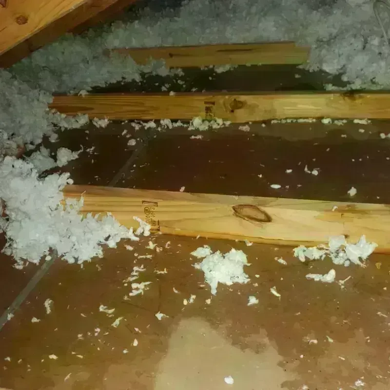 Attic Water Damage in Laurel, DE