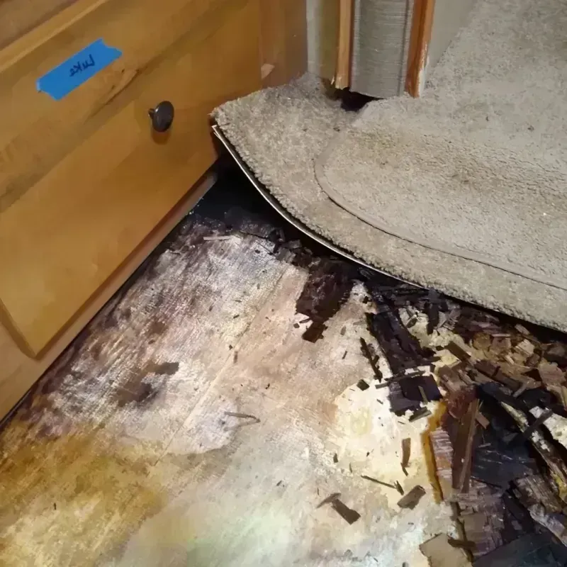 Wood Floor Water Damage in Laurel, DE